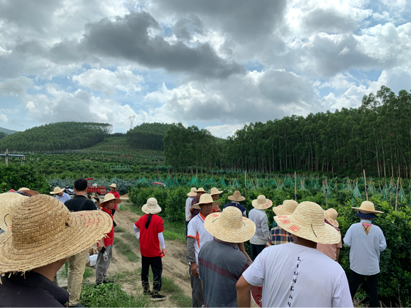 愛(ài)普科技經(jīng)銷產(chǎn)品助力武鳴柑橘種植